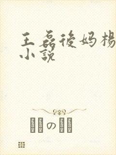 王磊后妈杨晓芬小说