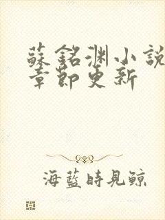 苏铭渊小说最新章节更新