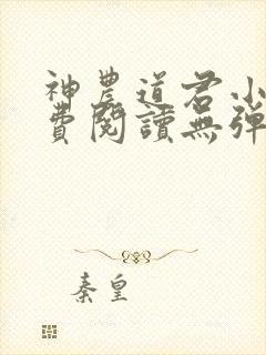神农道君小说免费阅读无弹窗