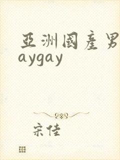 亚洲国产男同gaygay