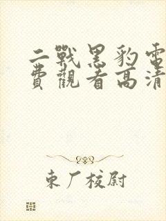 二战黑豹电影免费观看高清完整版封面