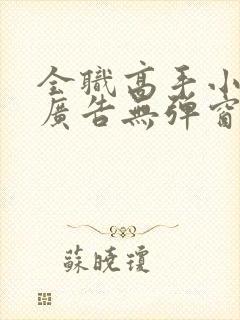 全职高手小说无广告无弹窗