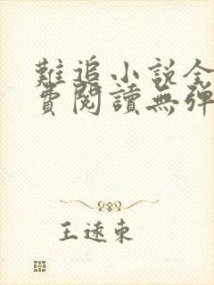 难追小说全文免费阅读无弹窗封面