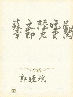 苏文陆晚风最新章节免费阅读笔趣阁