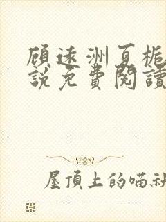 顾远洲夏栀栀小说免费阅读最新章节