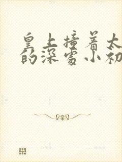 皇上撞着太子妃的深处小初