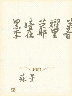 黑暗荣耀 第二季在哪里看