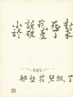 小说我死对头终于破产了未删减小说