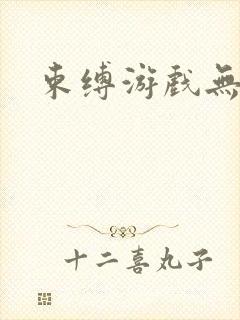 束缚游戏无删减