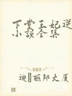 下堂王妃逆袭记小说全集封面