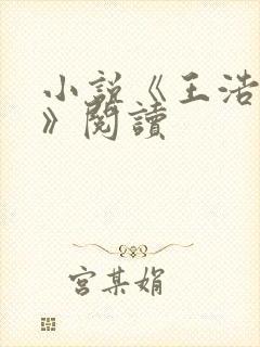 小说《王浩李洁》阅读