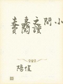 夫妻之间小说免费阅读