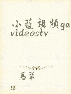 小蓝视频gayvideostv