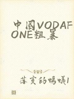中国VODAFONE粗暴