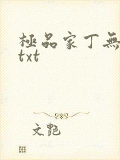 极品家丁无删减txt