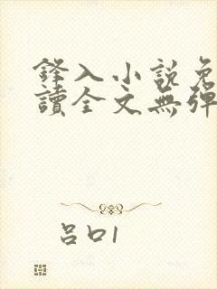 锋入小说免费阅读全文无弹窗封面