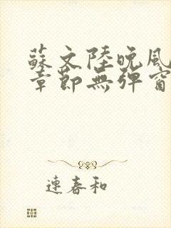 苏文陆晚风最新章节无弹窗笔趣阁