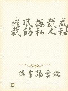 催眠总裁成为总裁的私人秘书小说