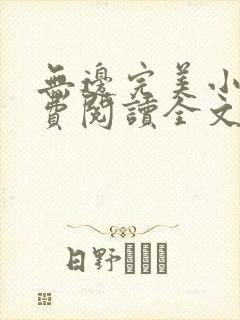 无边完美小说免费阅读全文最新章节封面