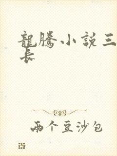 龙腾小说三宝局长