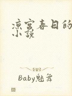 凉宫春日的忧郁小说