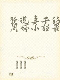 发现妻子的秘密周婷小说最新章节更