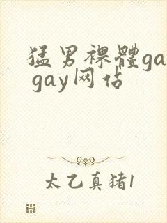 猛男裸体gay gay网站封面