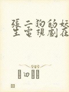 张二狗的妖孽人生电视剧在线观看封面