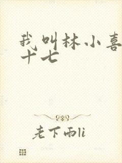 我叫林小喜今年十七
