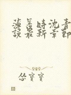 薄羡时沈青绾小说最新章节免费阅读封面