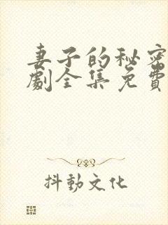 妻子的秘密电视剧全集免费下载