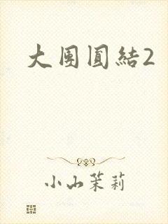 大团圆结2