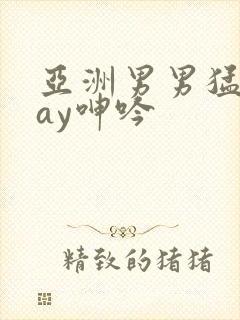 亚洲男男猛男gay呻吟