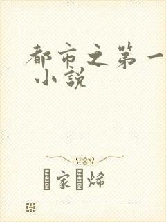 都市之第一战神 小说