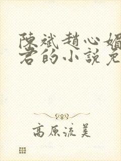 陈斌赵心媚高婉君的小说免费阅读封面