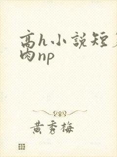 高h小说短篇纯肉np