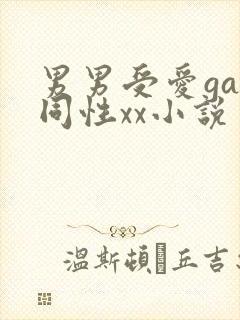 男男受爱gay同性xx小说封面