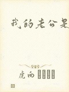 我的老公是冥王