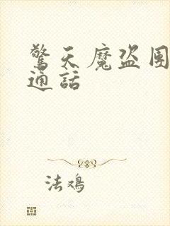 惊天魔盗团2普通话