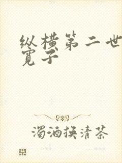 纵横第二世界 宽子