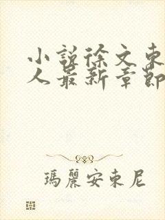 小说徐文东林伊人最新章节阅读全文