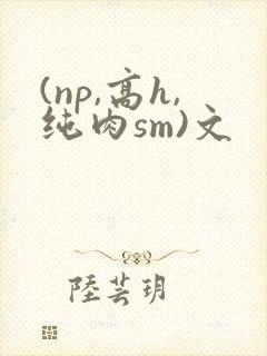 (np,高h,纯肉sm)文