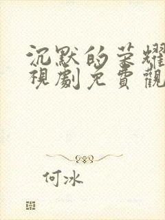 沉默的荣耀 电视剧免费观看全集高清版