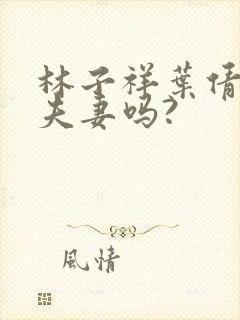 林子祥叶倩文是夫妻吗?封面