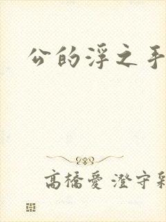 公的浮之手中字