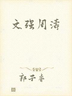 文强周涛封面