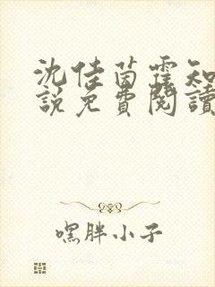 沈佳茵霍知衍小说免费阅读最新章节