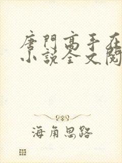 唐门高手在异世小说全文阅读