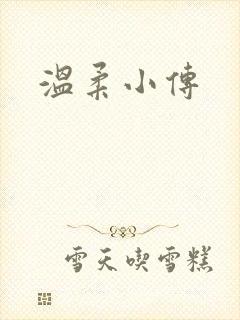 温柔小传