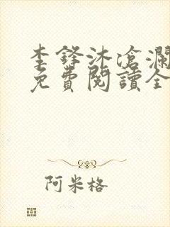 李锋沐沧澜小说免费阅读全文